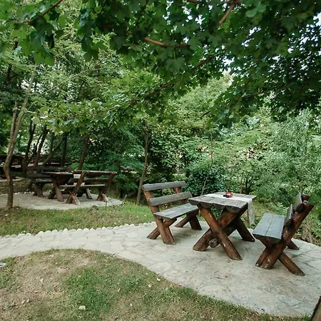 Autokamp Green Park مكان تخييم