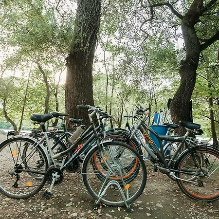 مكان تخييم Autokamp Green Park